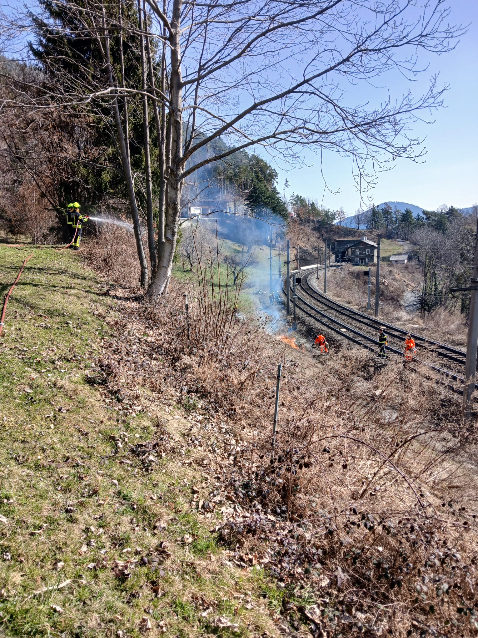 IMG-20260307-WA0005